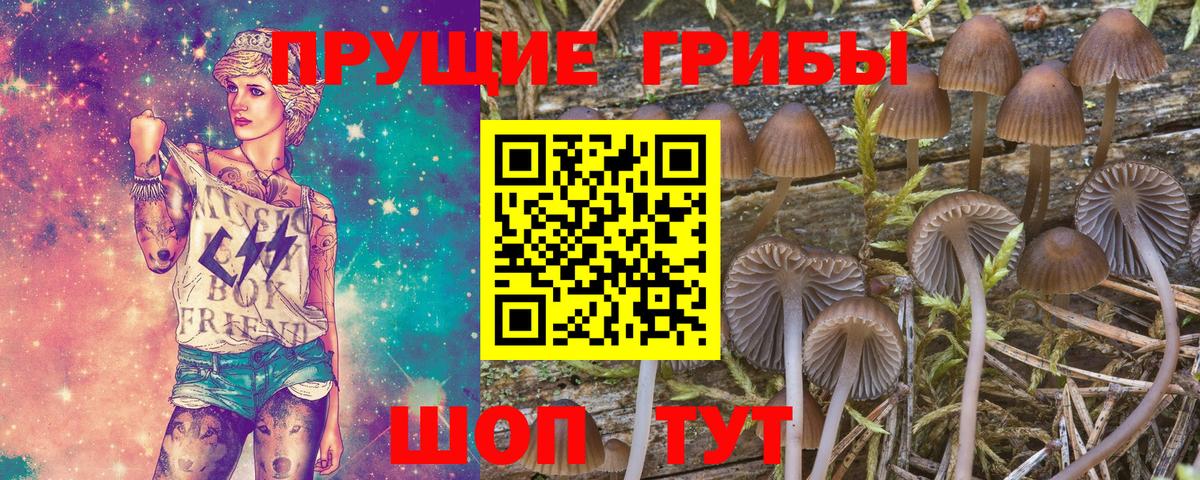 Галлюциногенные грибы MAGIC MUSHROOMS  Галлюциногенные грибы прущие грибы  Нефтекамск  Вход с VPN 